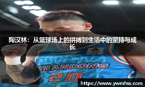 陶汉林：从篮球场上的拼搏到生活中的坚持与成长